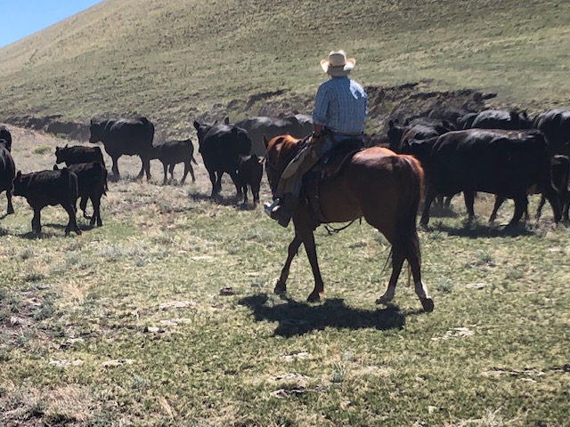 Photo: Badger Creek Ranch