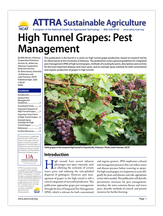 High Tunnel Grapes: Pest Management cover