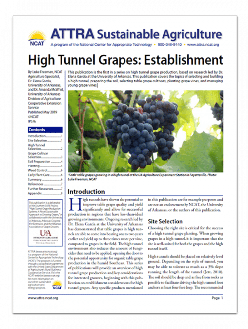 High Tunnel Grapes: Establishment cover