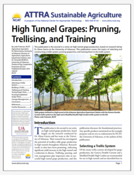 High Tunnel Grapes: Pruning, Trellising, and Training cover