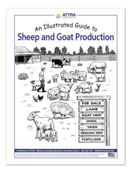 An Illustrated Guide to Sheep and Goat Production cover