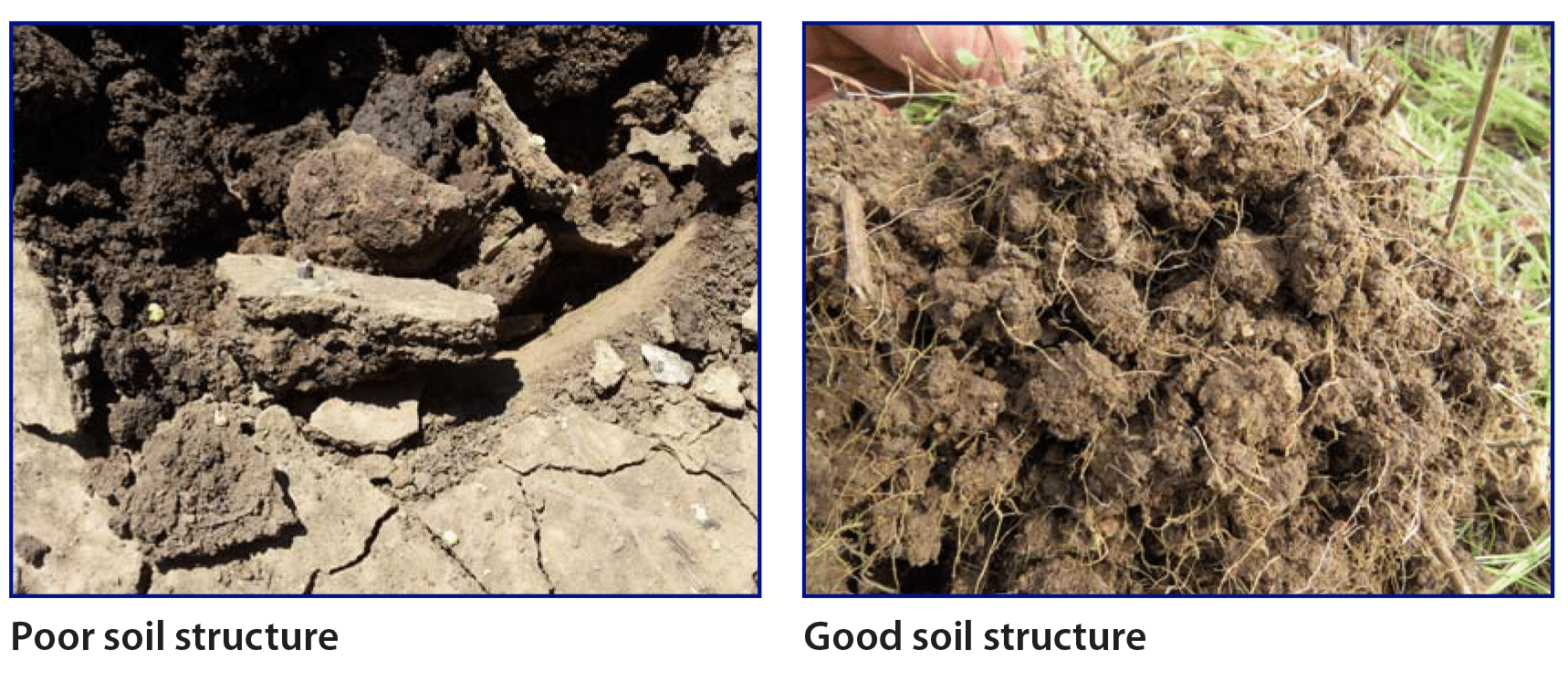 Comparison of poor soil structure to good soil structure