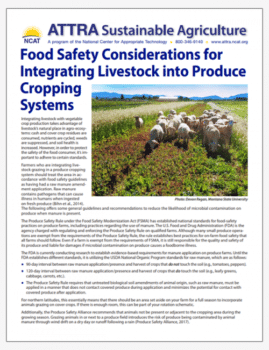 Food Safety Considerations for Integrating Livestock into Produce Cropping  Systems cover
