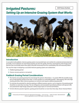 Irrigated Pastures: Setting Up an Intensive Grazing System that Works cover