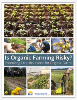 Is Organic Farming Risky? Improving Crop Insurance for Organic Farms cover