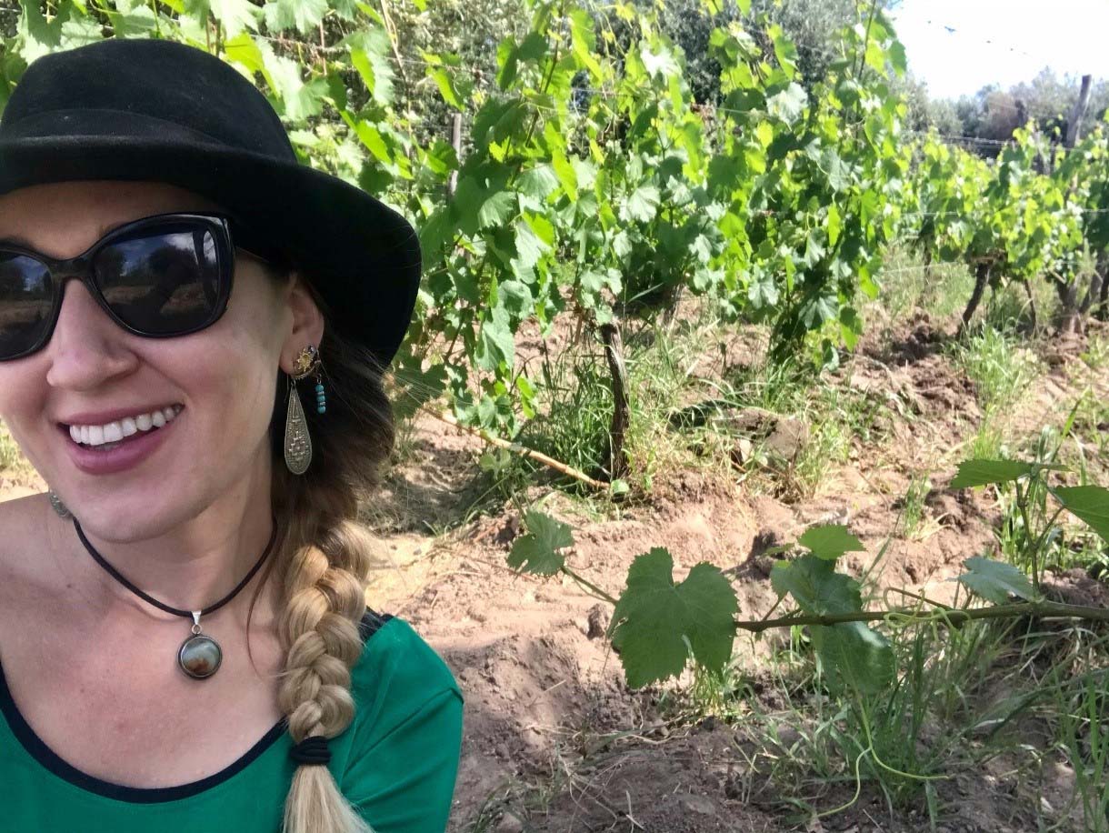 Taking petiole samples in a vineyard agroforestry system in Mendoza, Argentina, 