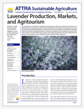 Portada: Producción, mercados y agroturismo de la lavanda