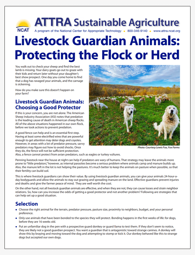 Livestock Guardian Animals: Protecting the Flock or Herd cover