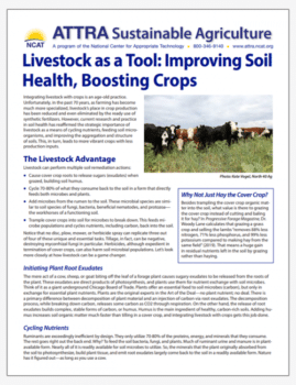 Livestock as a Tool: Improving Soil Health, Boosting Crops cover