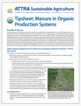 Tipsheet: Manure in Organic Production Systems cover