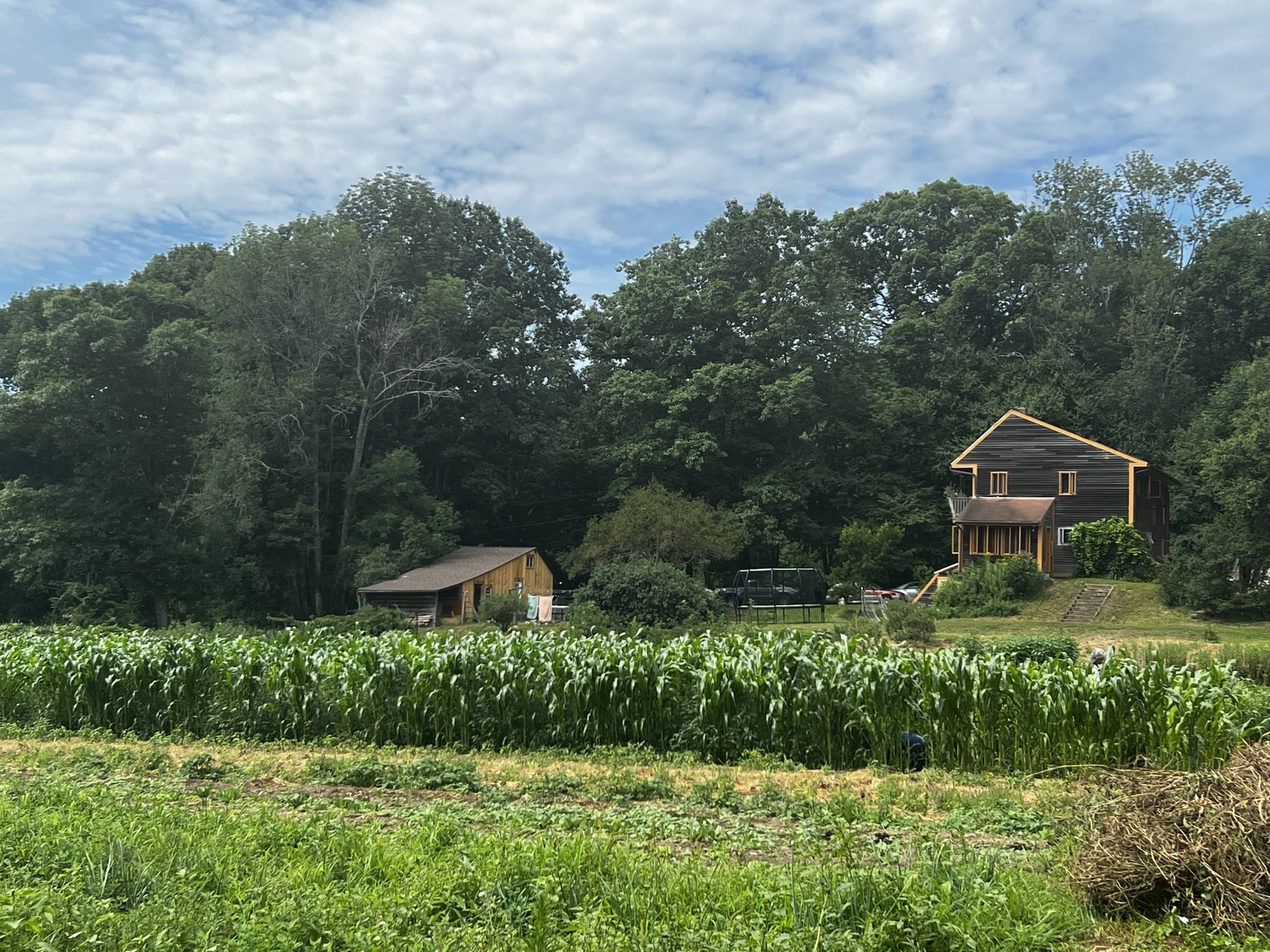 Many Hands Farm