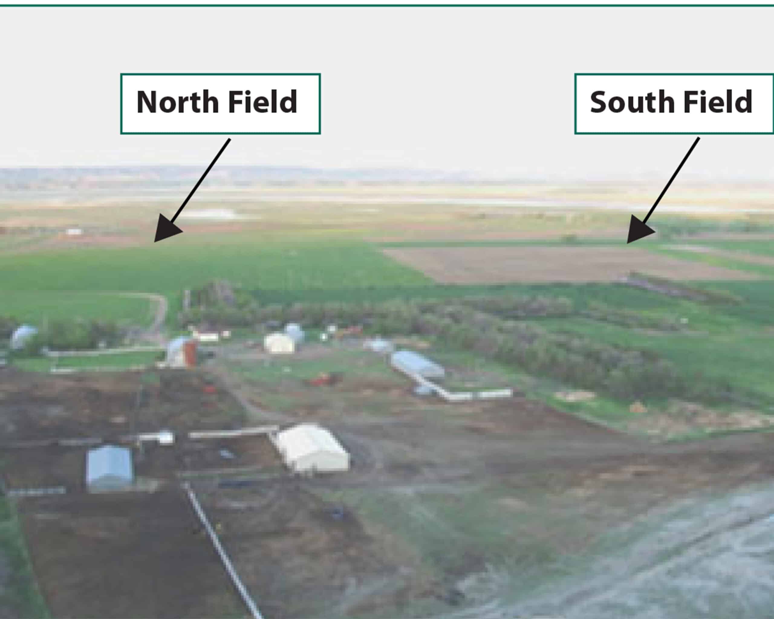 Miller Farm North and South Fields for Cover Crop Comparison