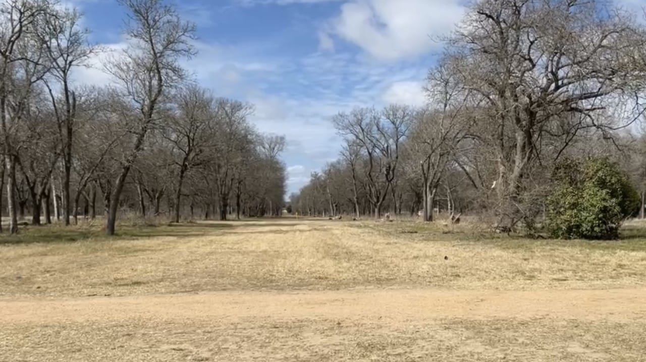 An example of a native-tree restoration project at the Upper Onion Creek floodplain. 