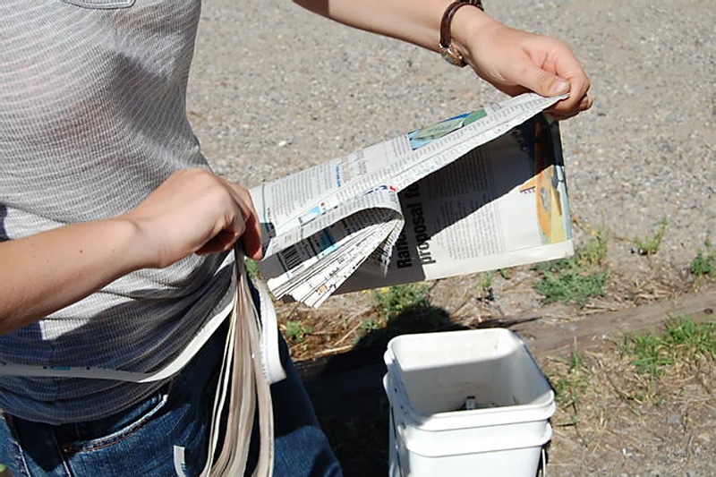 newspaper as bedding