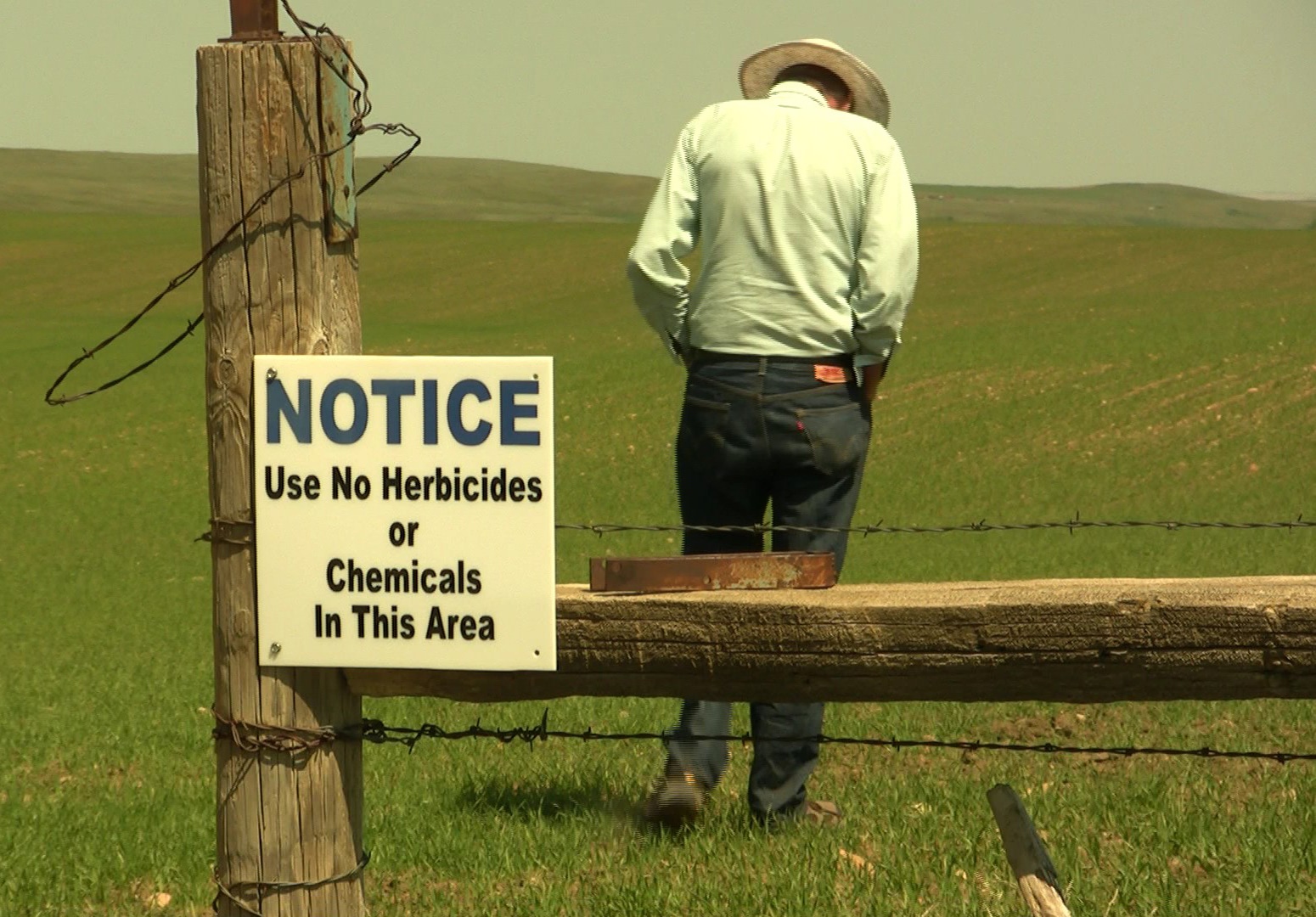 No Chemicals Sign and Man Walking