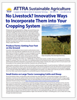 No Livestock? Innovative Ways to Incorporate Them into Your Cropping System cover