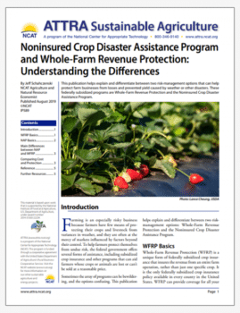 Noninsured Crop Disaster Assistance Program and Whole-Farm Revenue Protection: Understanding the Differences cover