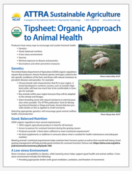 Tipsheet: Organic Approach to Animal Health cover