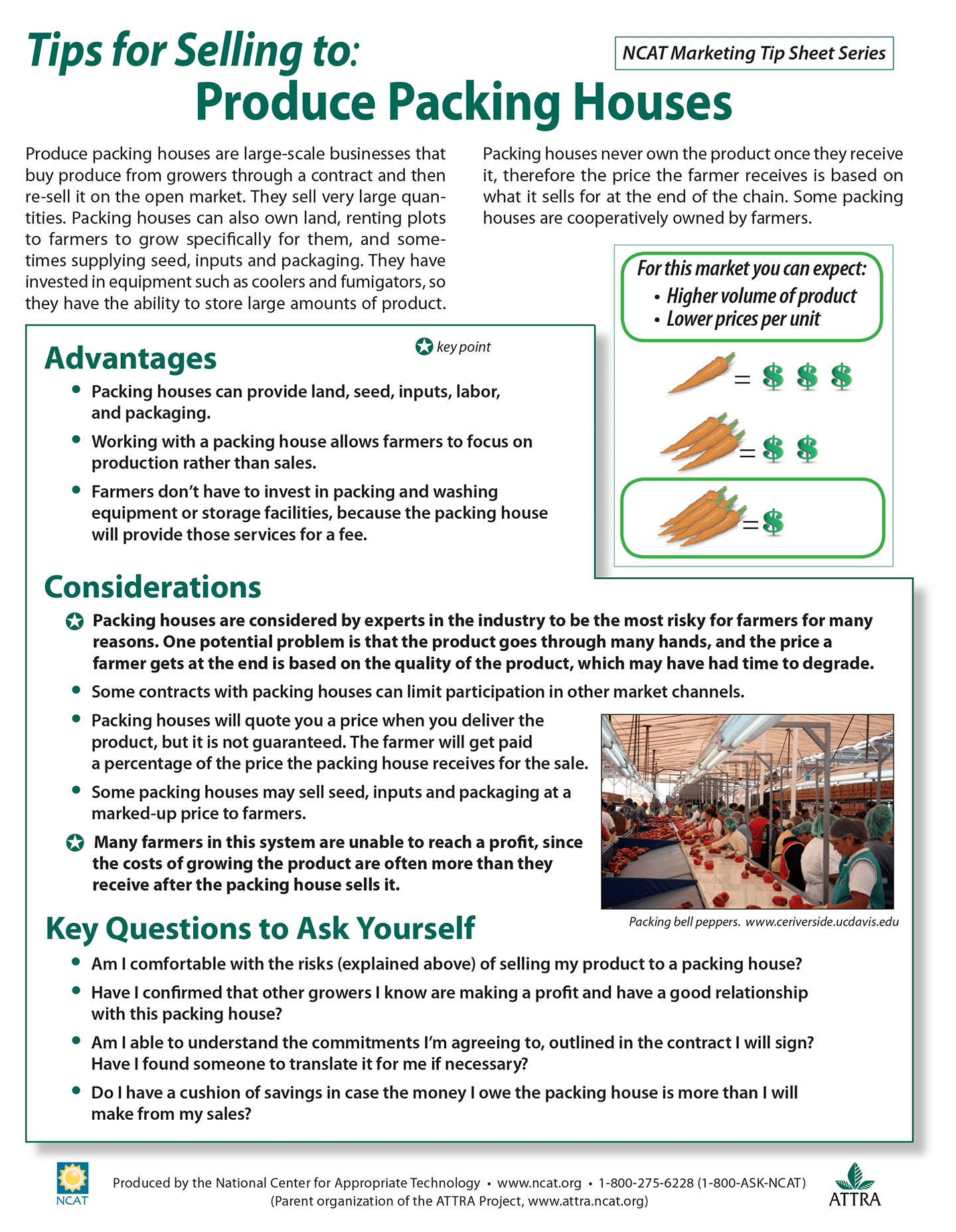 Tips for Selling to Produce Packing Houses cover