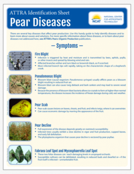 ATTRA Identification Sheet: Pear Diseases cover