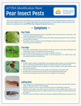 ATTRA Identification Sheet: Pear Insect Pests cover