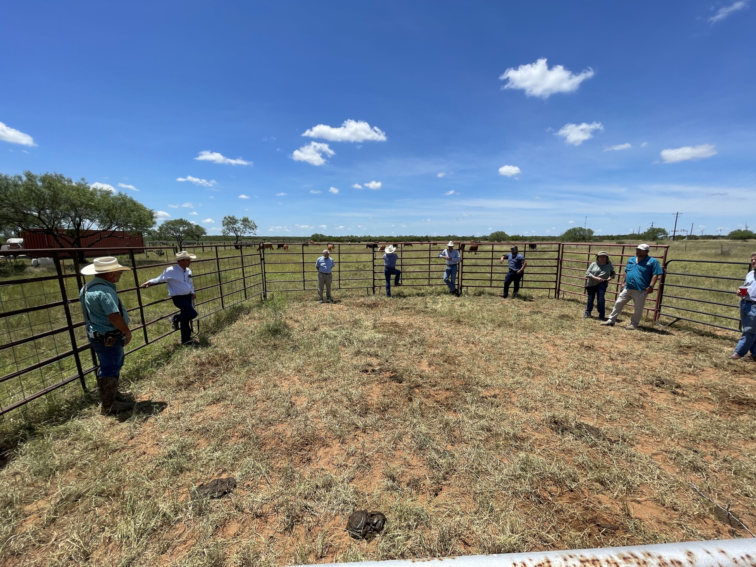 Peer-to-peer learning at Servando Leal’s ranch near Bruni, Texas. People lean against metal fence panels outdoors under blue sky.