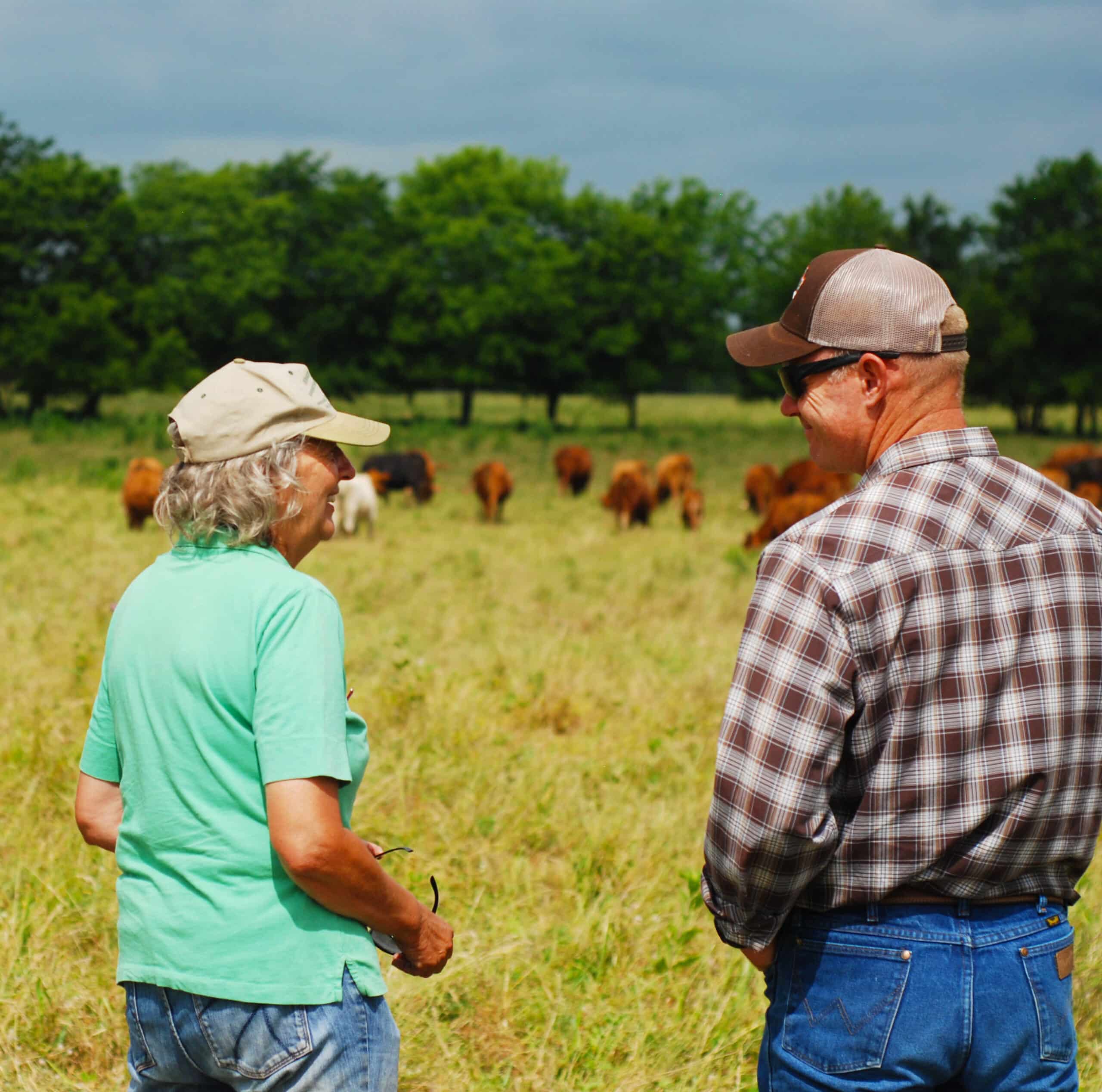 Regenerative Grazing research and education: Changing hearts and minds