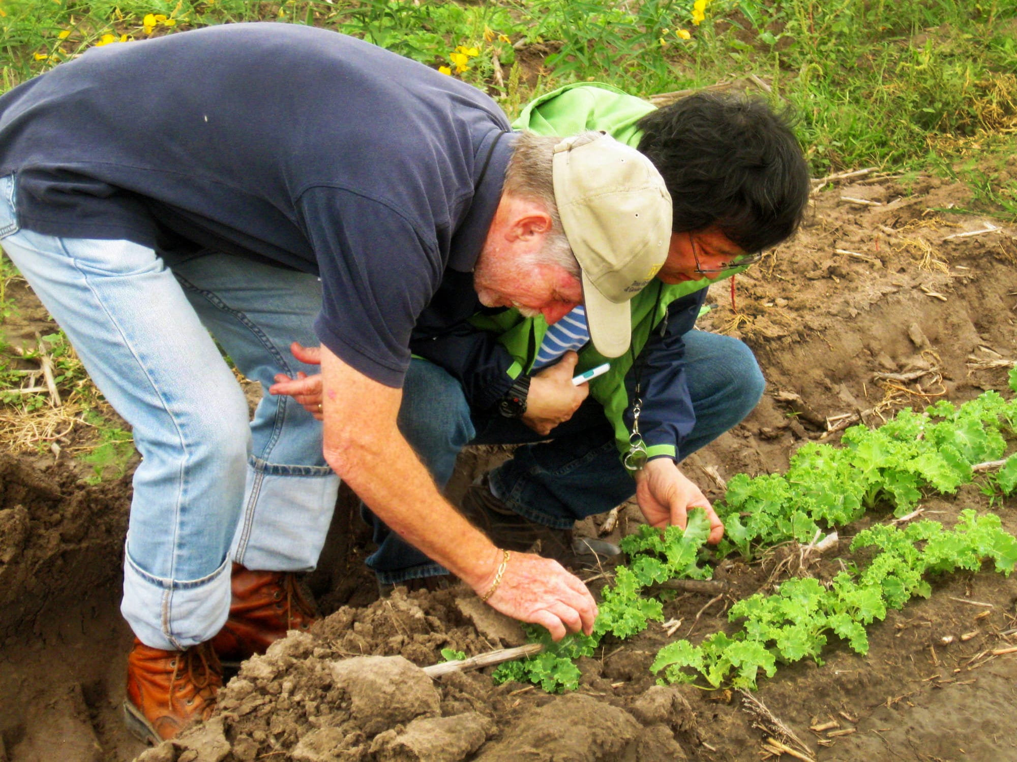 Hands on learning at field days and farm visits