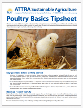 Poultry Basics Tipsheet cover