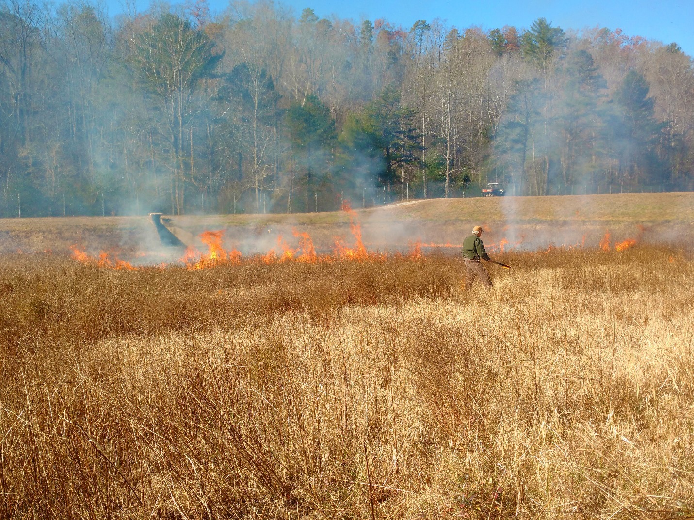 Prescribed burn