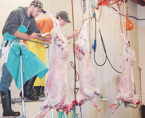 elaboración de carne