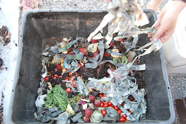 produce for worm feed