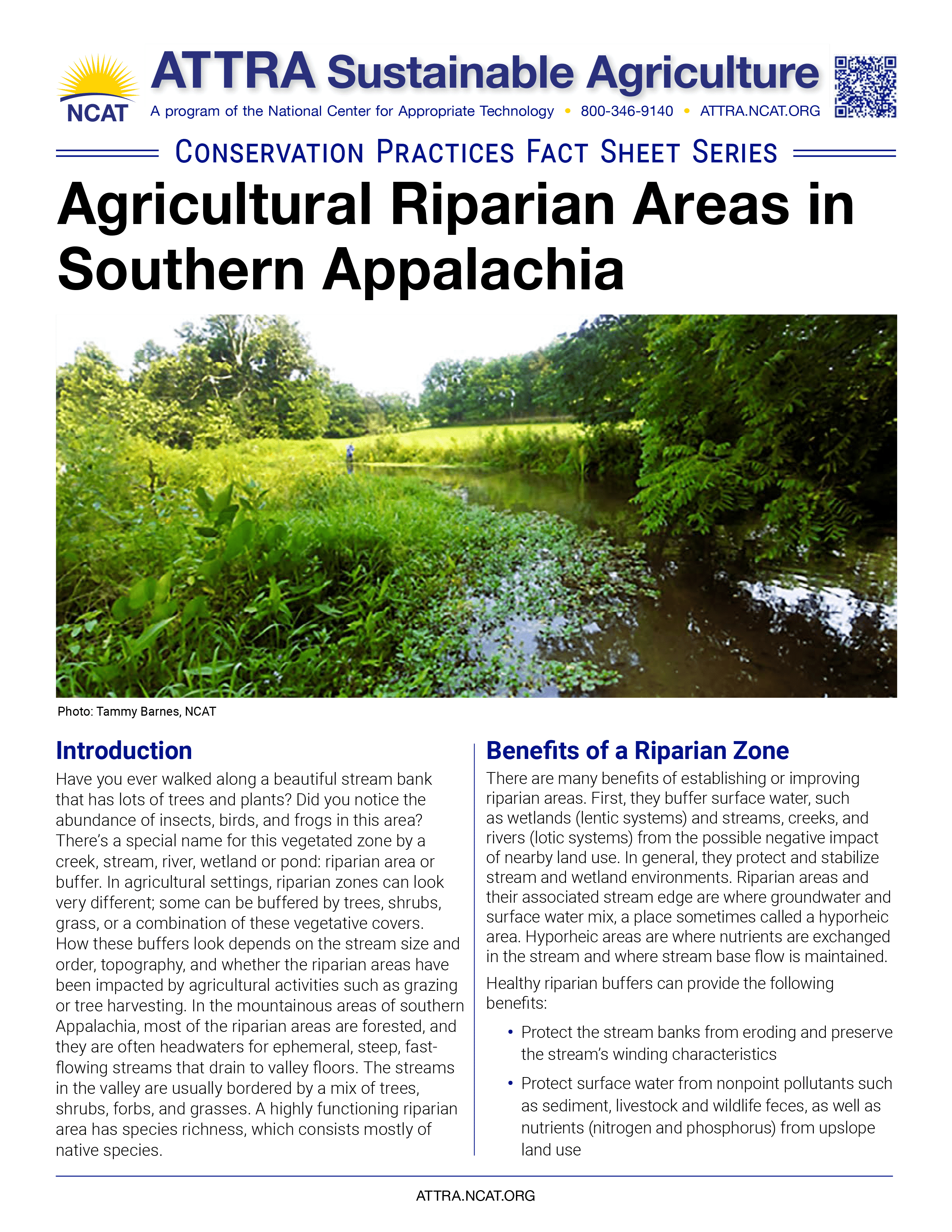 Agricultural Riparian Areas in Southern Appalachia cover