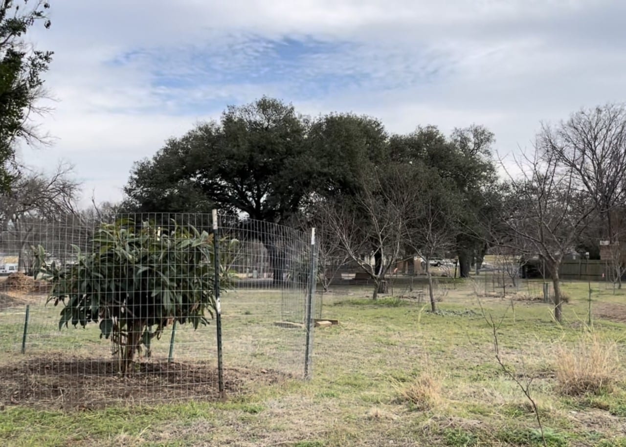 An example of riparian forest buffers near Williamson Creek, intentionally stewarded to stabilize soil, reduce erosion,increase infiltration, and protect riparian ecosystems.