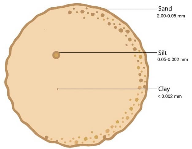 Comparación del tamaño relativo entre la arena, el limo y la arcilla de la fracción de tierra fina.