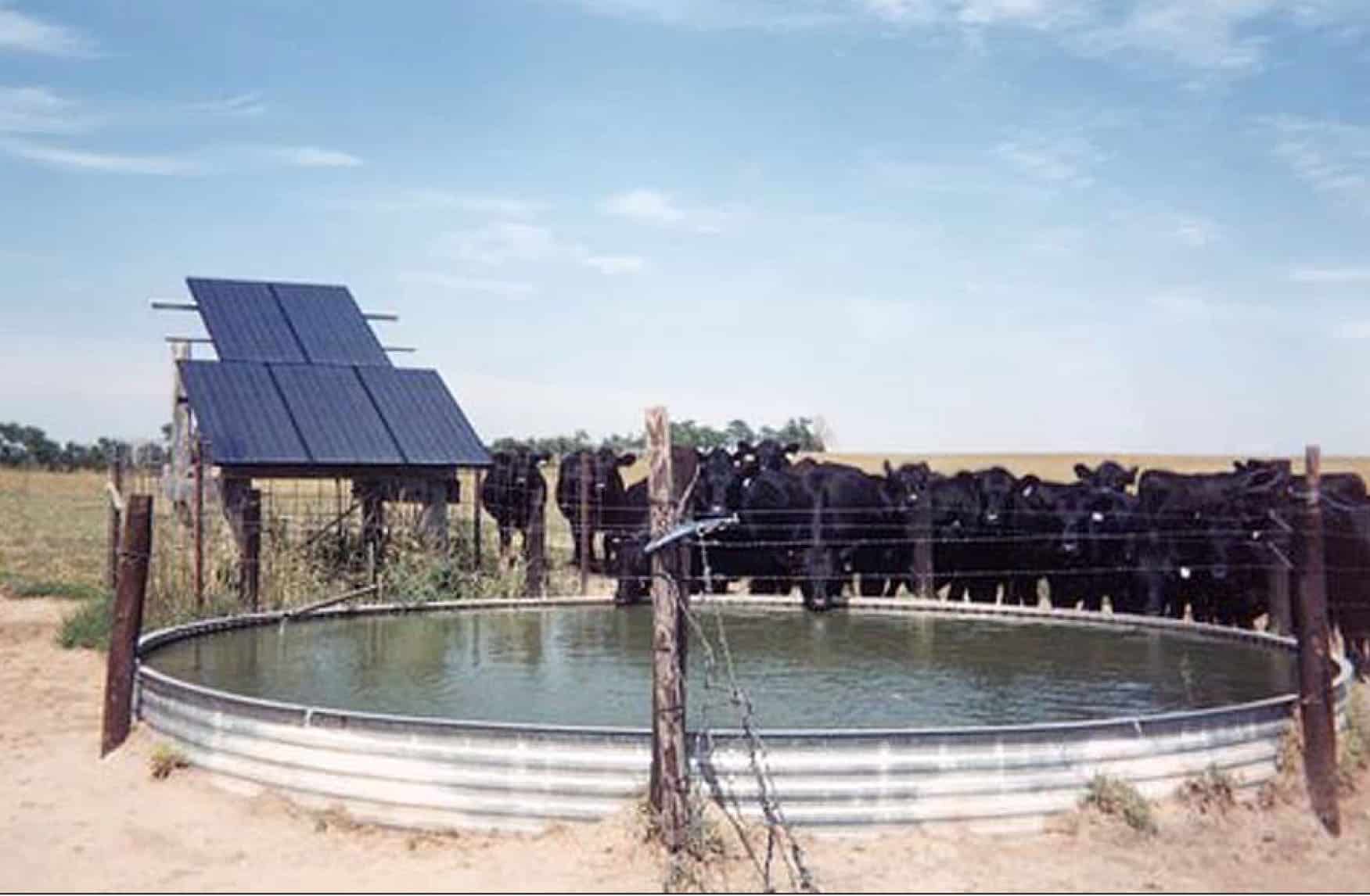 solar-powered livestock watering system