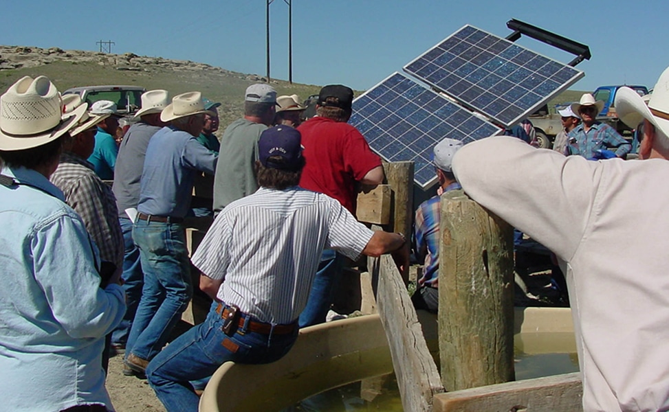 Ranchers around a solar energy system