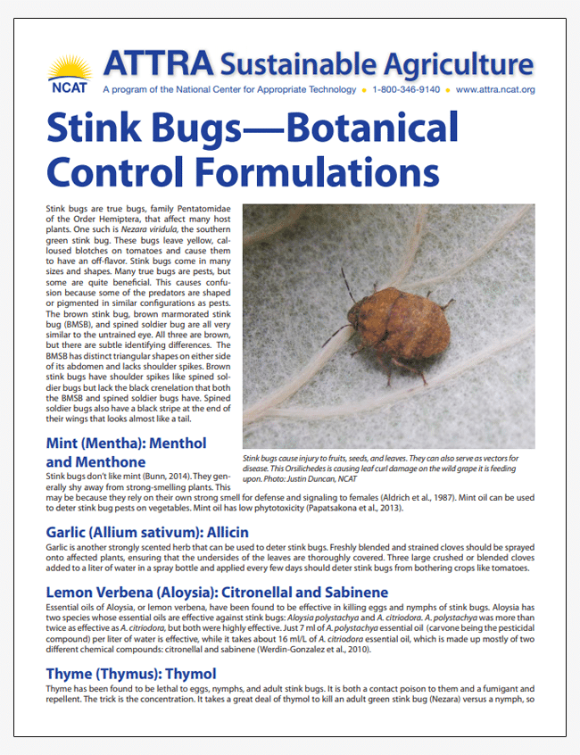 Stink Bugs—Botanical Control Formulations cover