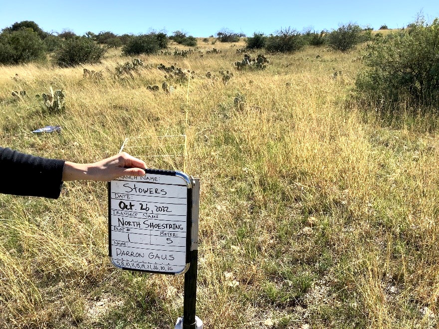 Stower’s Ranch observation
