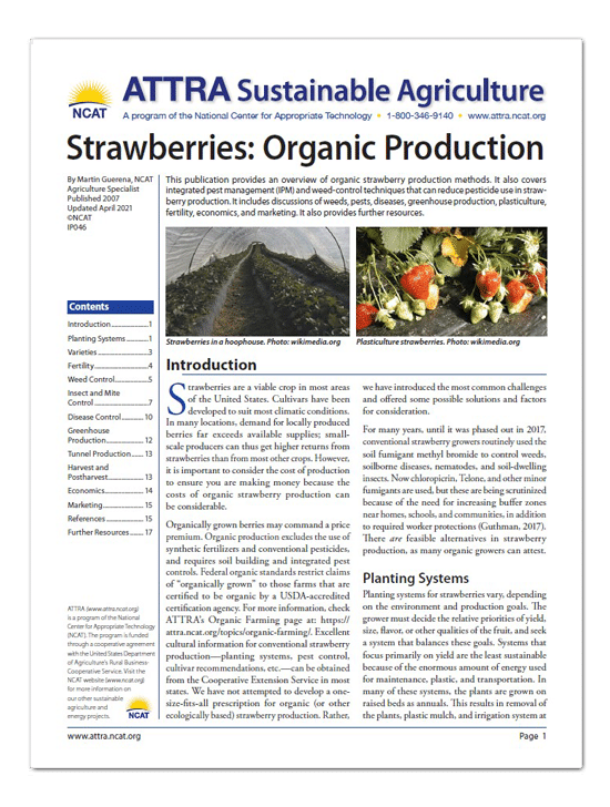 Strawberries: Organic Production cover