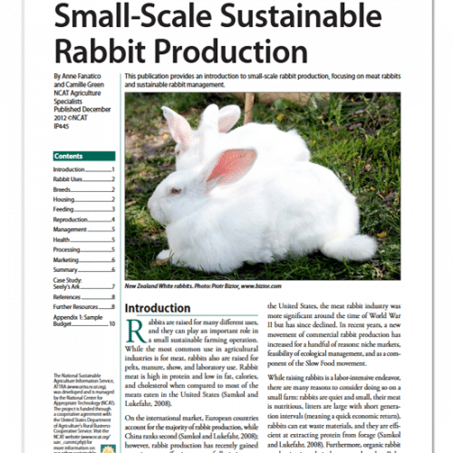 Screenshot of Small-Scale Sustainable Rabbit Produciton