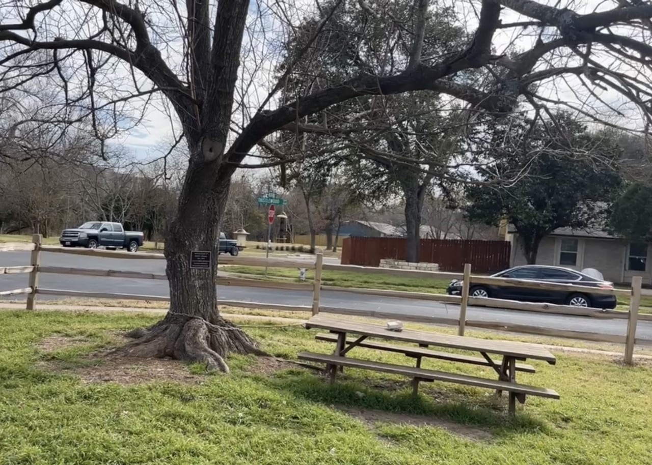 A floodplain-compliant table chained to a tree so it will not flow downstream in the event of a flood. Floodplain-compliant fencing is open, so that water is able to flow through. 