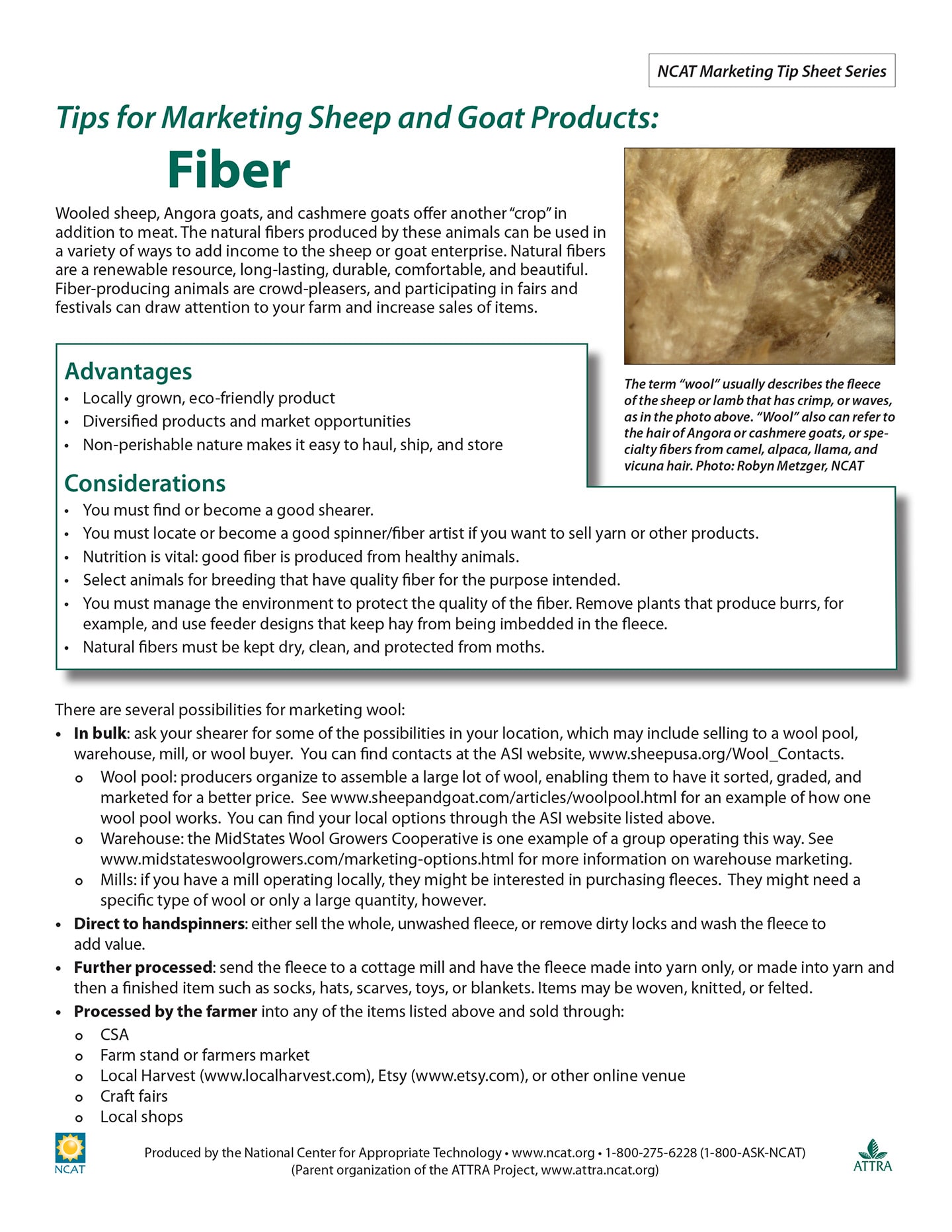 Consejos para la comercialización de productos derivados de ovejas y cabras: Capa de fibra