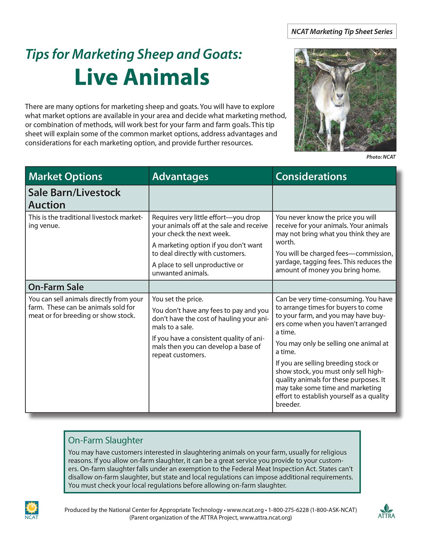 Tips for Marketing Sheep and Goat Products: Live Animals cover