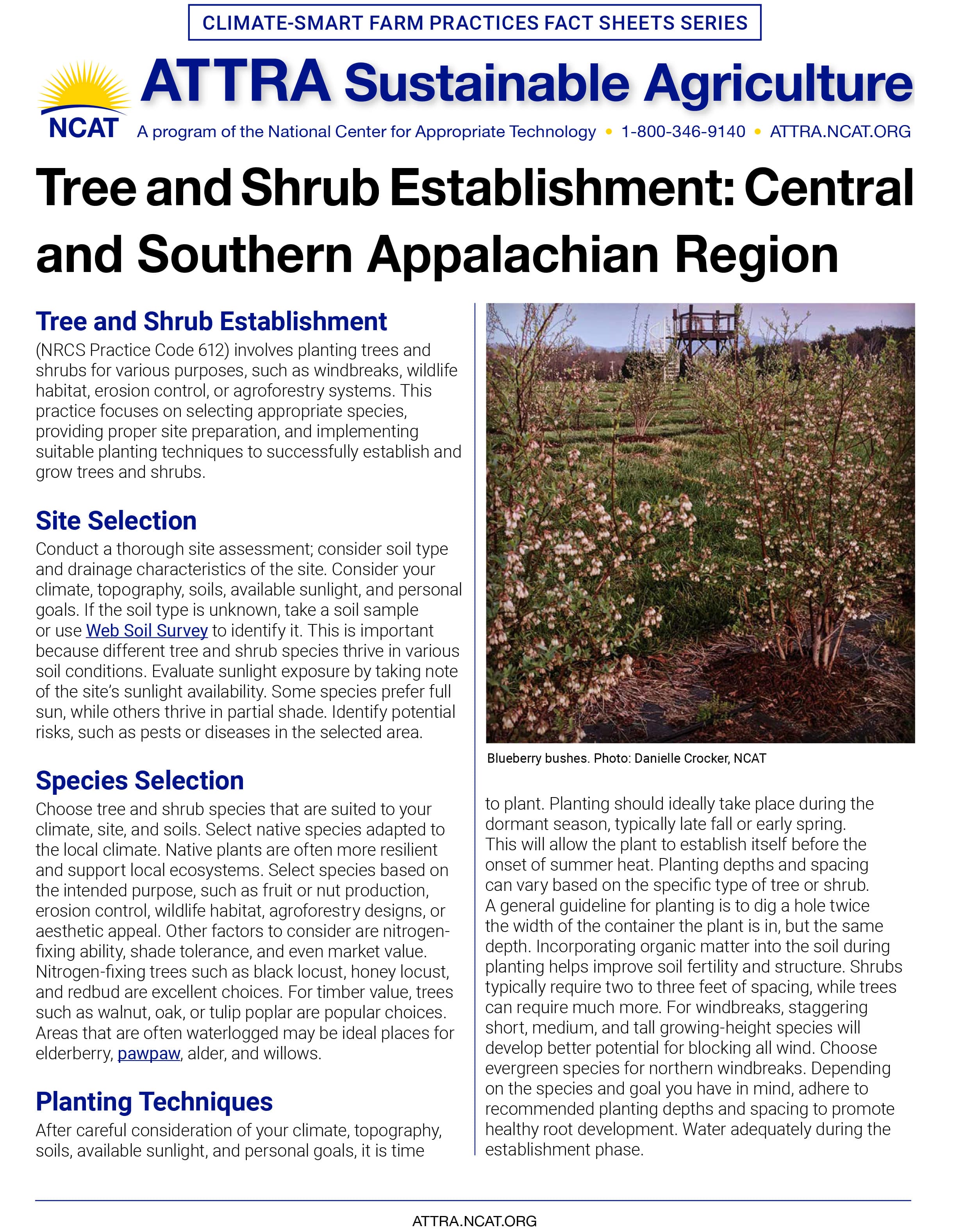 Tree and Shrub Establishment: Central and Southern Appalachian Region cover