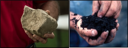 unhealthy and healthy soils shown side by side