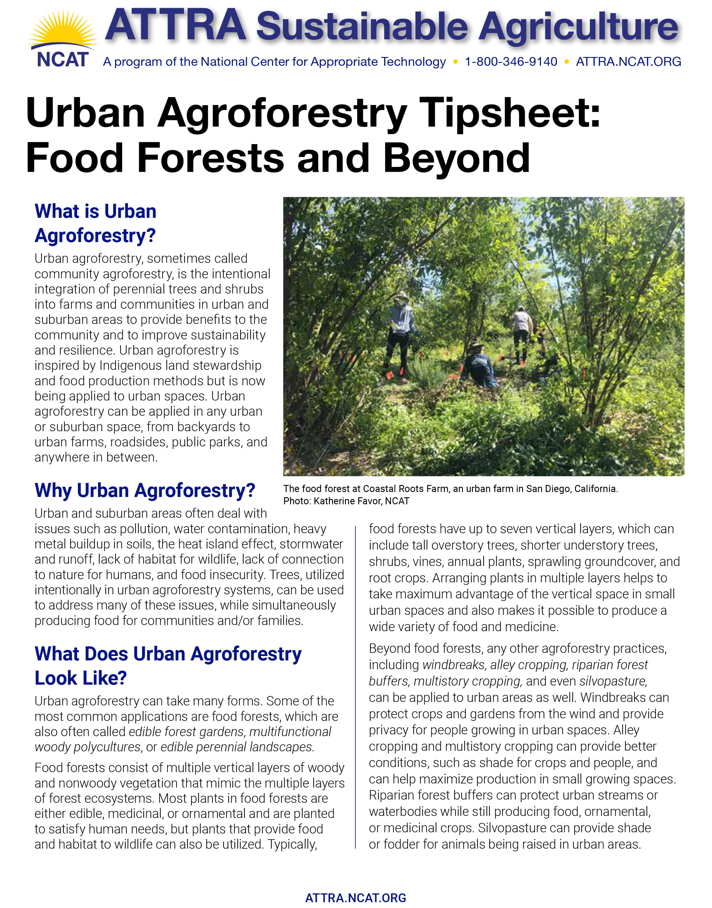 Urban Agroforestry Tipsheet: Food Forests and Beyond cover
