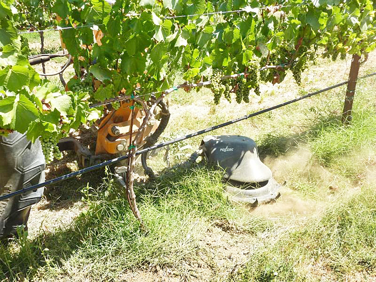 desbrozadora para viñedos en hileras