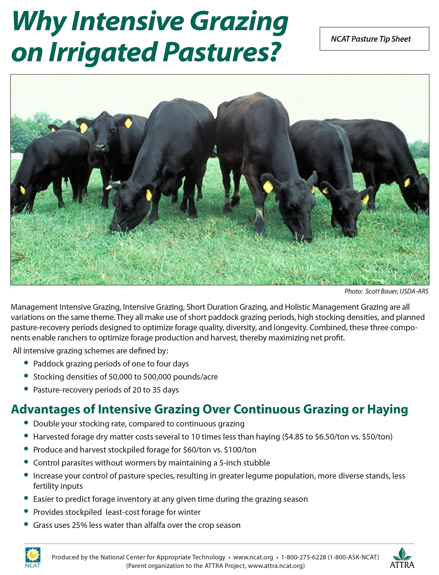 Why Intensive Grazing on Irrigated Pastures? cover