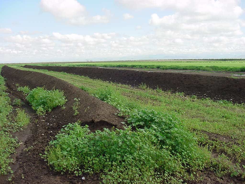 On-farm windrow compost system.